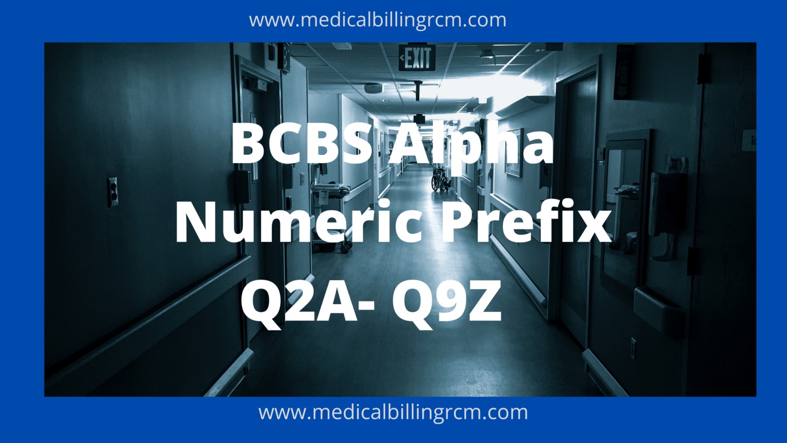 BCBS alpha numeric prefix Q2A to Q9Z