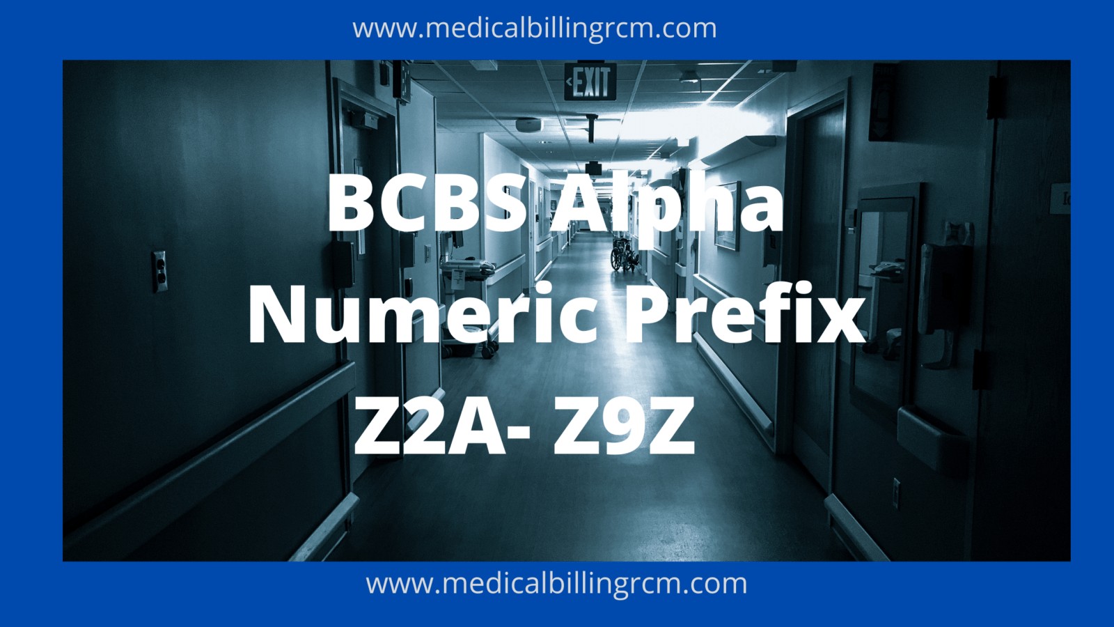 BCBS alpha numeric prefix Z2A to Z9Z