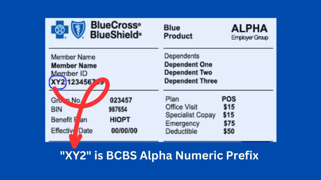 bcbs alpha prefix lookup